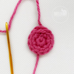How to Crochet a Button from TurtleBunny Creations - The loop you've created from the invisible join